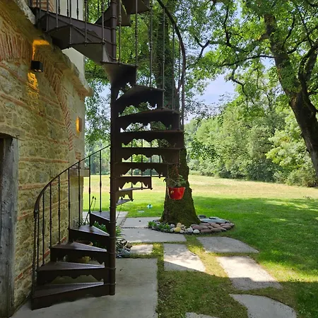Petit Paradis Лавор
